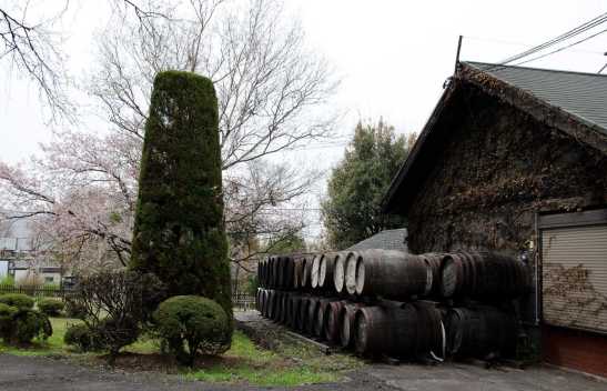 karuizawa-garden dekanta