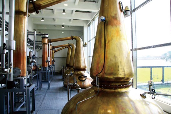 2009.6金車Whisky酒廠 036